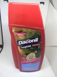 More complex than a traditional douglas fir, this fragrance has a bright, punchy character that truly captures the spirit of the holiday season. Daconil Liquid Fungal Disease Concentrate 16 Ounces Walmart Com Walmart Com