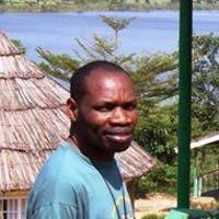 Image result for Cassipourea ndando