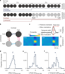 Maybe you would like to learn more about one of these? Contrast And Luminance Adaptation Alter Neuronal Coding And Perception Of Stimulus Orientation Nature Communications