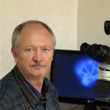 Alexander KRAKHMALNY