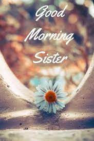 Maybe you would like to learn more about one of these? 120 Lovely Good Morning Wishes And Greetings For Sister Good Morning Sister Good Morning Wishes Good Morning Images Flowers