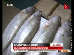 Gurpinar Balik Hali Nde Siki Pazarlik Youtube
