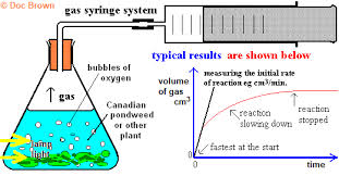 Photosynthesis Factors Affecting Rate Experiment Design Apparatus Light Intensity Temperature Carbon Dioxide Concentration Chlorophyll Greenhouse Applications Igcse O Level Gcse Biology Revision Notes Examinations