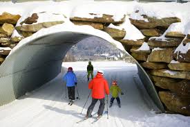 Should you purchase an ikon pass before a credit has been deposited into my account, the credit amount will not be retroactively applied to your. Qwnxw Dh1gcfkm