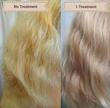 If you need a quick fix for your uneven bleached hair, you may want to consider dyeing it a darker color to cover up any mistakes. Olaplex No 3 Is The Miracle Corrector Your Damaged Hair Has Been Searching For