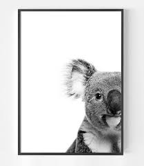 Koala Print Australian Animal Print Koala Art Print Koala Etsy Unique Art Prints Animal Art Art Prints