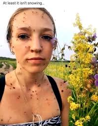 Newest pic of my handsome grandsons!! 🥰❤️