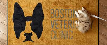 Wild animal patients may be brought to the reception desk at the small animal clinic. Veterinarians And Animal Hospital In Boston Ma Boston Veterinary Clinic