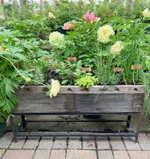 You can save yourself from chemical rich food available in the market by planting fresh vegetables at. Tips For Starting A Home Vegetable Garden Do Say Give