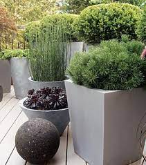 Check spelling or type a new query. Form Over Flower Large Outdoor Planters Architectural Plants Outdoor Planters