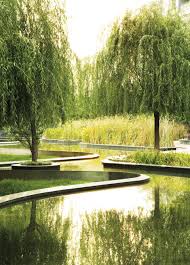 Cicada Landscape Architekture Singapore Photo By Patrick Bingham Hall Garden Architecture Landscape Architecture Landscape Design