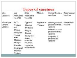 Several different viruses have been used as vectors, including influenza, vesicular stomatitis virus (vsv), measles virus, and adenovirus, which causes the common cold. Vaccines Toxoids And Other Immunobiologics Vaccines Antiinfectivemeds Com