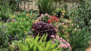 We did not find results for: 12 Plants That Thrive In The Sun How To Make A Beautiful South Florida Flowerbed Dengarden