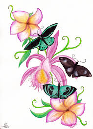 Two pink butterflies illustration, butterfly, pink butterfly, blue, antiquity, heart png. Butterfly Flower Drawings With Color For Kids Novocom Top