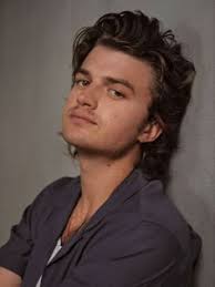 Henry Gamble's Birthday Party Joe Keery