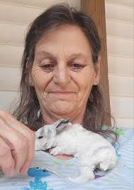 Plush Mini lop . Little doe. Manchester TN. DOB 2/3/25