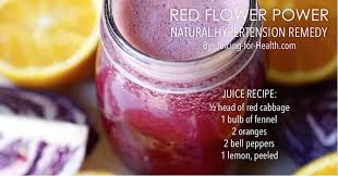 Healthy juice recipes for high blood pressure. Juices To Lower High Blood Pressure Naturally Better Than Any Drugs Anytime