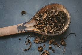 Image result for Alepidea amatymbica