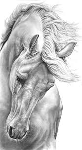 Saatchi Art Artist Heidi Kriel Drawing Free Art Horse Drawings Pencil Drawings Horse Art