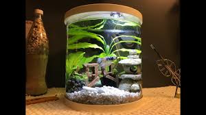 One month later, my thoughts on this 3 1/2 i unbox the top fin ease wood looking 3 gallon betta tank from petsmart. 3 5 Gallon Betta Tank Koi Halfmoon Top Fin Bettaflo Soothe Youtube