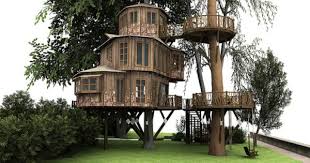 Pin On Real Tree Houses