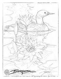 Lions coloring pages lion coloring free animal coloring pages sheets. Loon Coloring Page 99 Degree