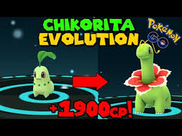 evolve chikorita pokemon go