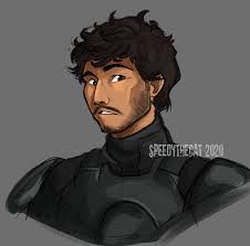 Mr Djarin Sir Star Wars Fandom Star Wars Art Star Wars Memes