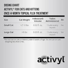 activyl for cats kittens