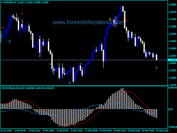 Forex Macd Rsi Arrows Indicator Forexmt4systems Rsi Forex Movie Posters