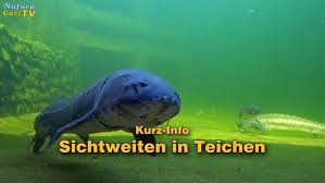 Naturagart Teichtechnik Shop Teichfilter Beratung Und Produkte Online Kaufen