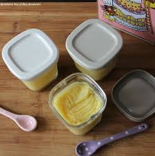 Flan Patissier Aux Pommes Dans Ma Yaourtiere Multi Delices Flan Patissier Recette Yaourt Recette Yaourt Avec Yaourtiere