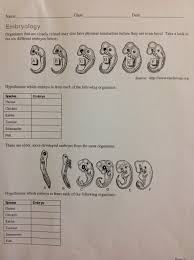 Evolution mutation selection gizmo answer key observe evolution in a fictional population of bugs. Current Spiral 2015 2016 Mr Velasquez
