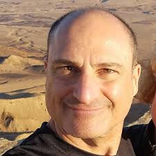 Hive Tour: The Insider's Guide to Honey Bees: Frank, Phil, Linton, Frank,  Caron, Dewey: 9798336593068: Books