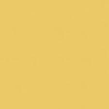Abbeyshea Surfside Fabric Color Lemon Peel Greige Paint Colors Plain Wallpaper Pastel Background