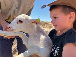 Monday still feeling like Sunday...