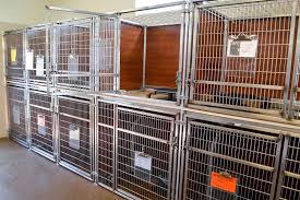 Boarding View 9 Hospital Design Pet Clinic Hospital Design Clinic Design