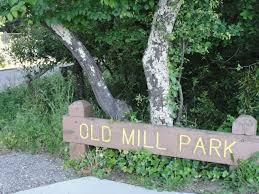Mill Valley Village's Lovely Get Together in Old Mill Park