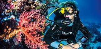 A scuba diving mask is the piece of equipment that helps you with your view while diving. Explore The Underwater World By Becoming An Ssi Certified Scuba Diver Divessi