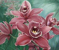 Cymbidium Orchids Painting Art By Michelle Caitens Orchids Painting Flower Painting Watercolor Flowers