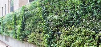 See more ideas about garden wall, backyard landscaping, backyard. 8 Ideas To Inspire Your First Living Wall Essential Home And Garden
