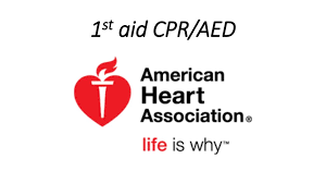 1st Aid Cpr Aed Ppt Download