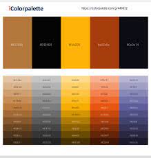 Sep 21, 2020 · what colors go with orange? 96 Latest Color Schemes With Black And Orange Color Tone Combinations 2021 Icolorpalette