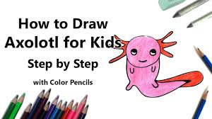 Use the product to print on clothing cute cartoon axolotl. How To Draw An Axolotl For Kids Step By Step Youtube