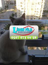 Balkon Filesi Nedir Guvenlik File Satis Ve Montaji Lider File Ankara 0507 073 06 58 Lider File Balkon Guvenlik Filesi