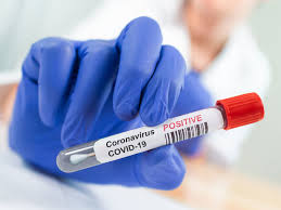 The two main branches detect either the presence of the virus or of antibodies produced in response. False Covid 19 Test Results Are Problematic But False Positives Can Have Serious Consequences As Well The Economic Times