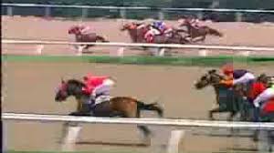 The game have 6 race horses. Krace Horse Racing Apk Download 2021 Free 9apps