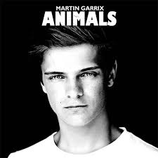 Martin Garrix - Animals (Dion 2014 Party Don`t Stop Edit)