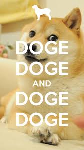 We hope you enjoy our growing collection of hd. Doge Meme Wallpapers Wallpaper Cave