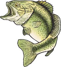 Download Printed Vinyl Bass Fish Png Royalty Free Download Fish Png Image With No Background Pngkey Com Seeking for free bass fish png png images? download printed vinyl bass fish png